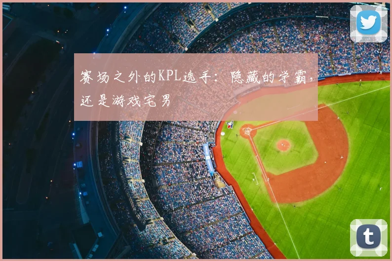 赛场之外的KPL选手：隐藏的学霸，还是游戏宅男