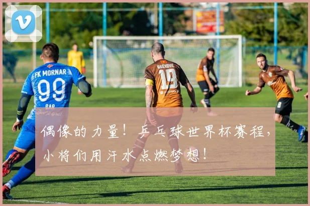 偶像的力量！乒乓球世界杯赛程，小将们用汗水点燃梦想！