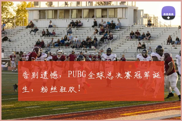 告别遗憾，PUBG全球总决赛冠军诞生，粉丝狂欢！
