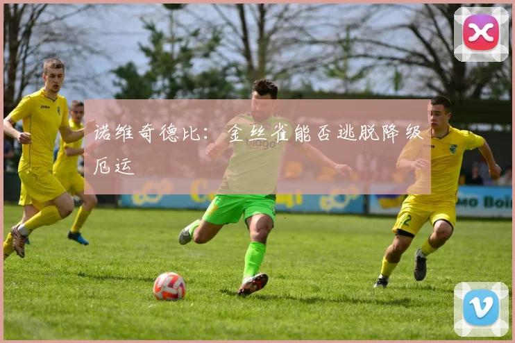 诺维奇德比：金丝雀能否逃脱降级厄运